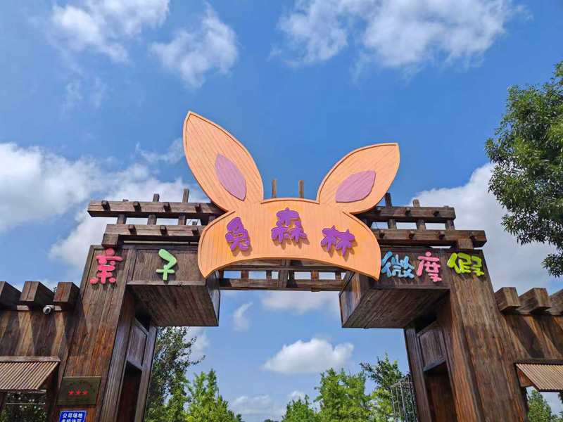 丰台区王佐全域旅游小镇再添“星”光冰球突破豪华版推动“农文旅”融合发展(图4)