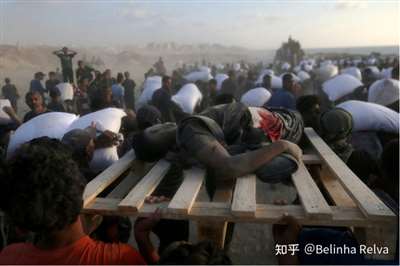 戏:加沙人的死亡陷阱冰球突破网站饥饿游(图9) 戏:加沙人的死亡陷阱冰球突破网站饥饿游(图9)